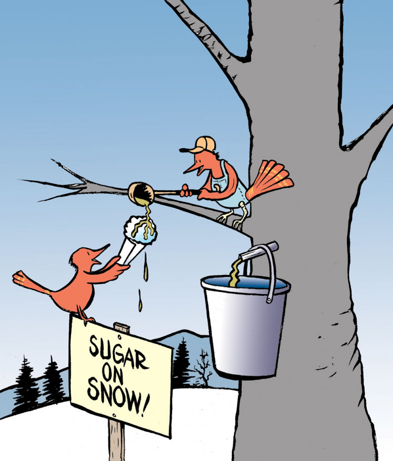 sugar on snow birds cmyk2