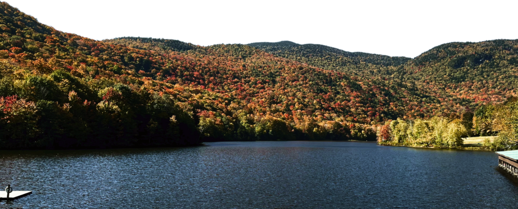 (c) Vermontcf.org