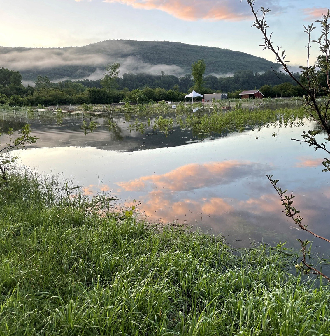 Flooding overtakes a field once field with crops in Vermont.