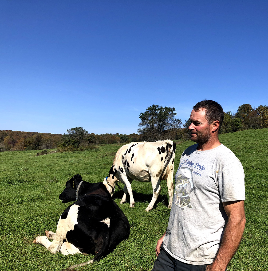 A farmer stands with two cows in the field