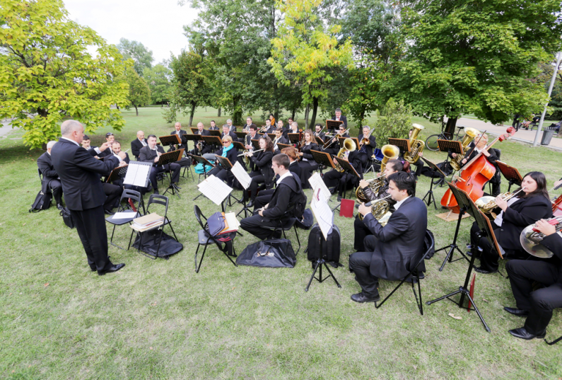 an orchestra giving a live performance in a park