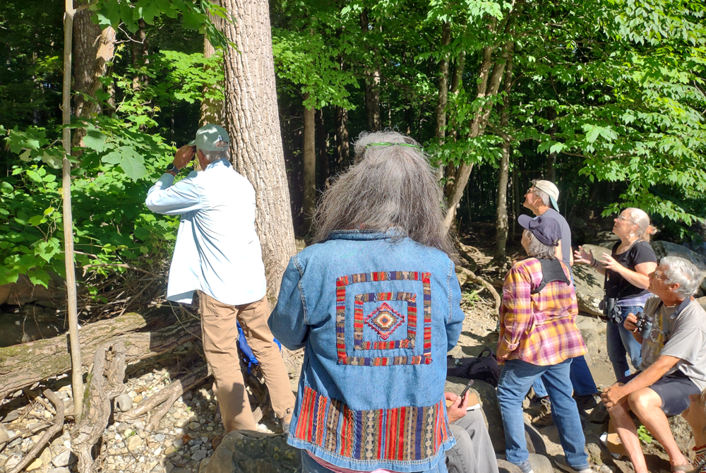 a group of people looking into the woods at the edge of a river