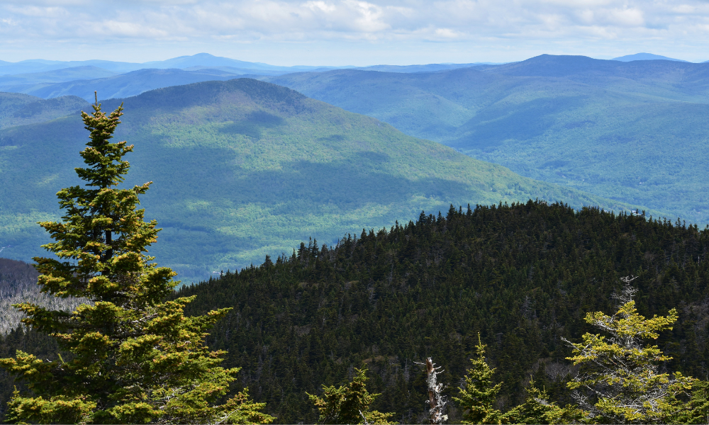 Mountains and trees