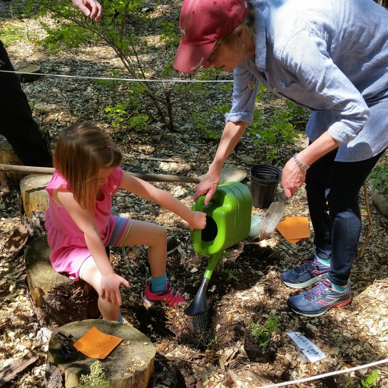 a woman in a blue shirt and a child in pink working together with a green watering can to water a newly planted seedling