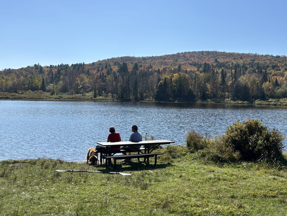 two people sitting on a picnic table bench looking out over a small body of water in autumn with a dog by their side